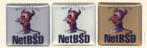 NetBSD Badge Photo