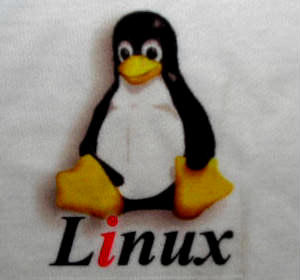 Linux T-shirt Particolare